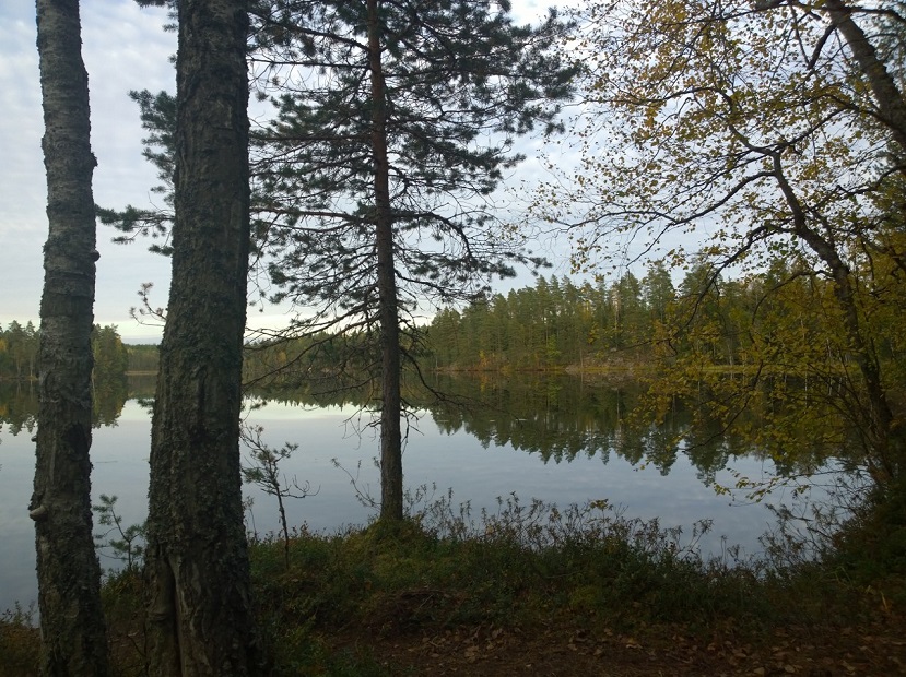 wp_20160926_17_33_23_pro