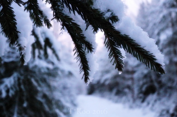 Sietokyvyn rajamailla