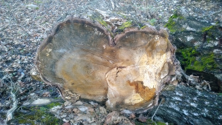 WP_20140322_18_11_57_Pro