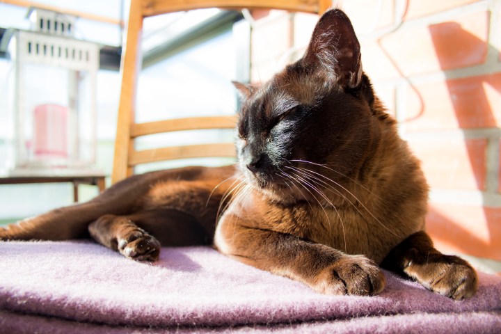 Aktiivilomalla ajatuksia opiskelusta