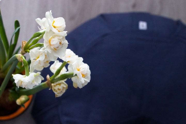 Meditoinnin lyhyt oppimäärä