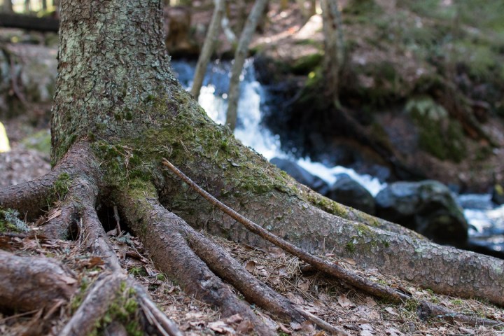 Masennus – se helpoin&nbsp;diagnoosi