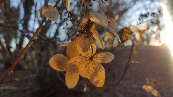 Ja kaikista suurin on&nbsp;rakkaus