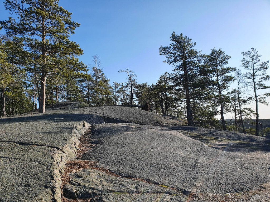Hiidenvuoren laella Iitissä kasvaa mäntyjä